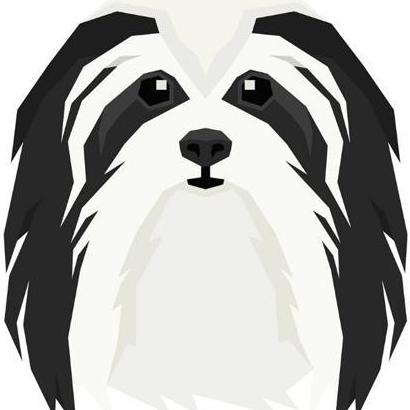 Havanese Products