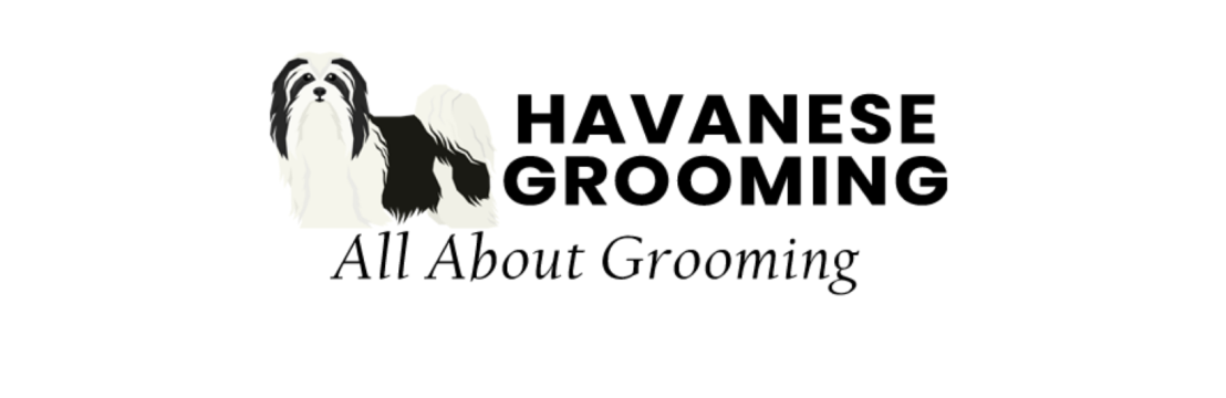 Havanese Grooming